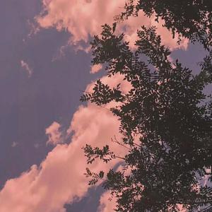 男生女生砰砰砰
