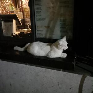 男生女生砰砰砰
